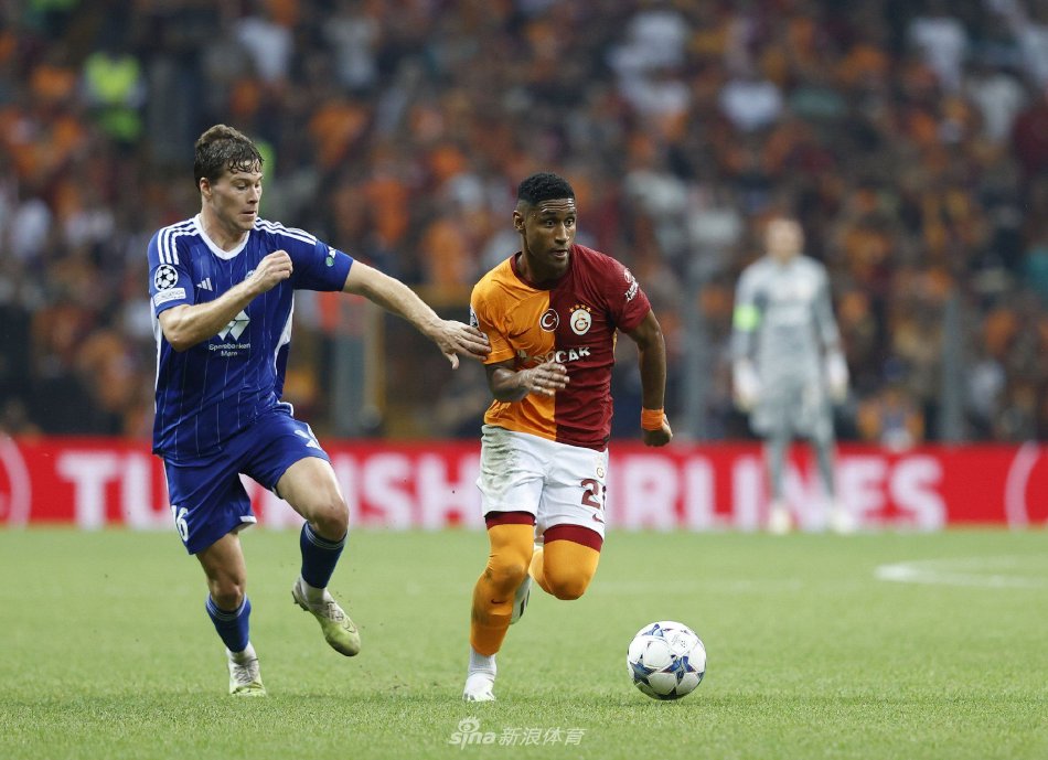 多兵力组织 多兵力组织